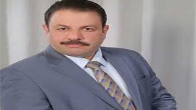 مجلس الدولة يلزم وزير الصناعة ومحافظ القليوبية بإعادة انتخابات الغرفة التجارية