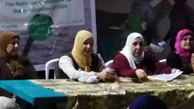 ندوة بالعريش تؤكد أن ختان الاناث أحد أشكال العنف ضد المرأة