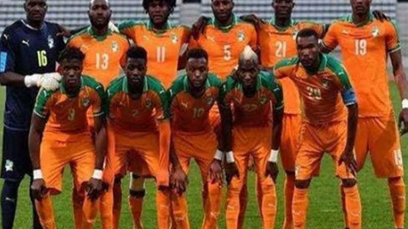 تعرف على برنامج الأفيال