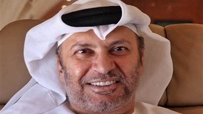 قرقاش عن زيارة تميم لواشنطن: الانسلاخ عن المحيط مكلف