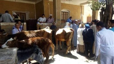 محافظ أسيوط: قوافل بيطرية لـ20 قرية أكثر احتياجًا