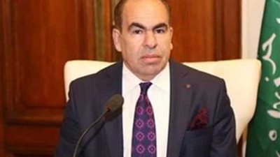 الهضيبي: انتخابات مجلس الشيوخ بـ