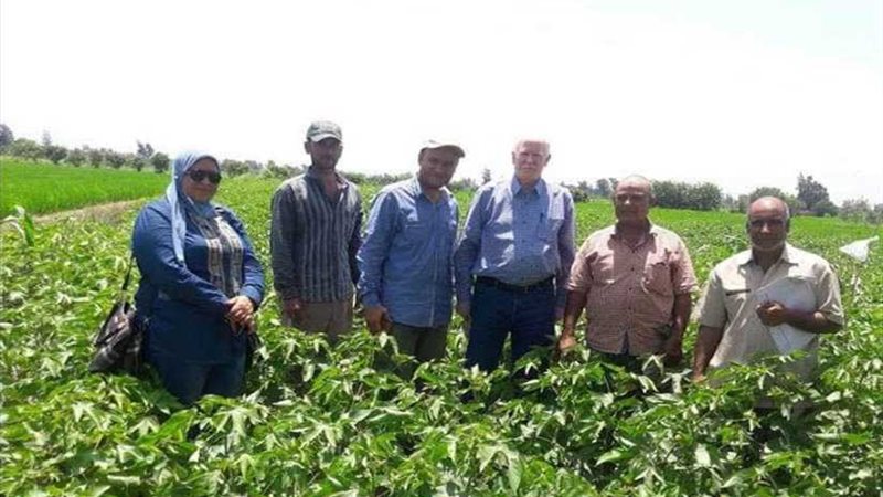 الإرشاد الزراعي بالبحيرة