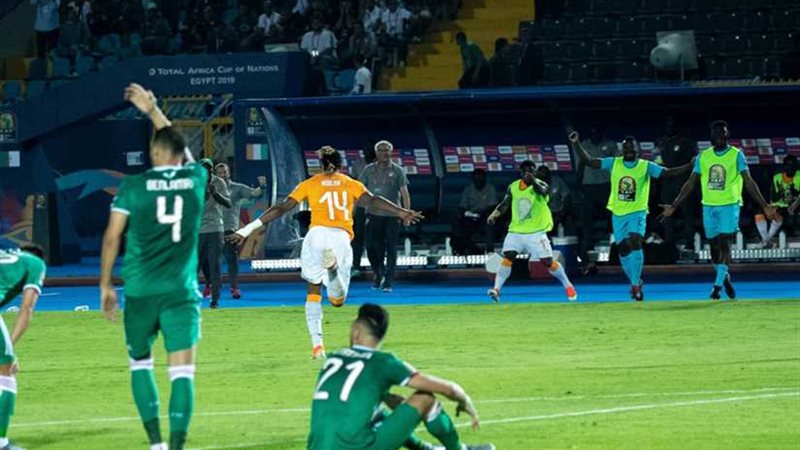 الثعالب والأفيال