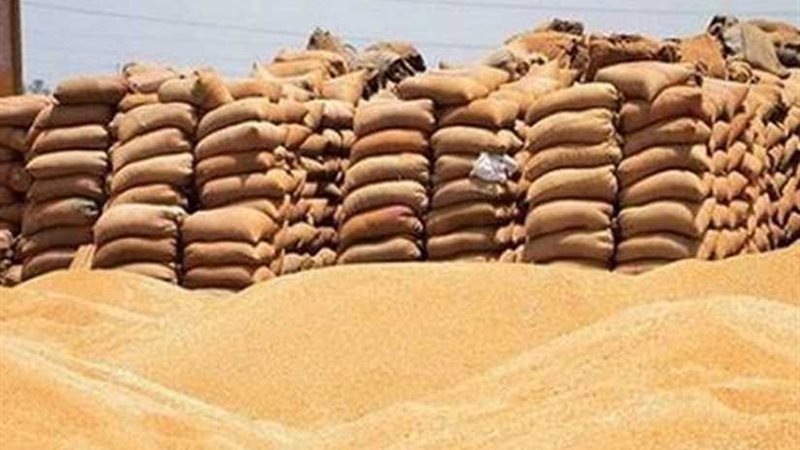 توريد 263 ألف طن