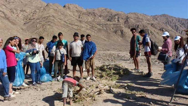 البيئة : معسكر وورش