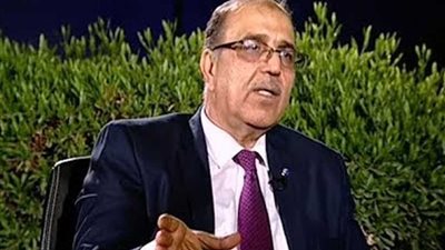 العضاض: الاستفادة من التجربة المصرية في العراق