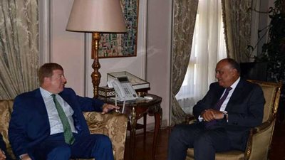 وزير الخارجية سامح شكري يستقبل نائب رئيس غرفة التجارة الأمريكية