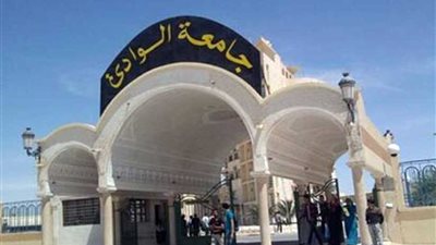 تكريم رئيس جامعة جنوب الوادي تقديرًا لمسيرته على مدى 13 عامًا