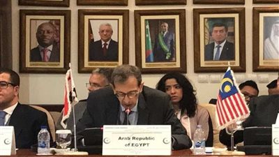 مصر تؤكد ثوابتها تجاه القضية الفلسطينية ورفضها أية إجراءات أحادية