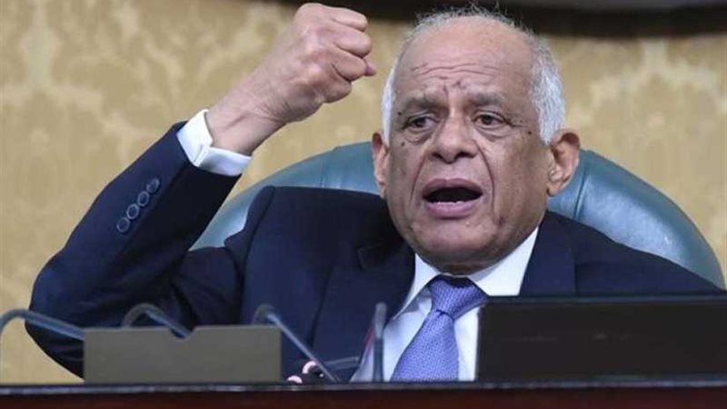 رئيس النواب  : المجلس