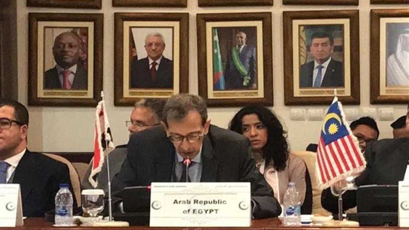 مصر تؤكد ثوابتها