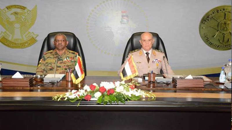 الفريق محمد فريد