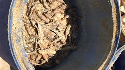 إعدام 780 كيلو سردين فاسد بميت غمر