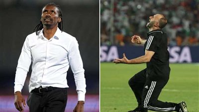 التشكيل المتوقع لـ