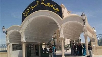 غدًا..جامعة الوادي الجديد تبدأ تسجيل المتقدمين لدورات المنح الأجنبية