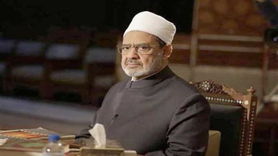 شيخ الأزهر يصل أرض الوطن مساء اليوم