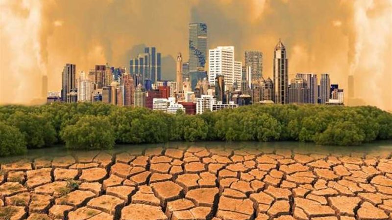 مصر تشارك في تحدي