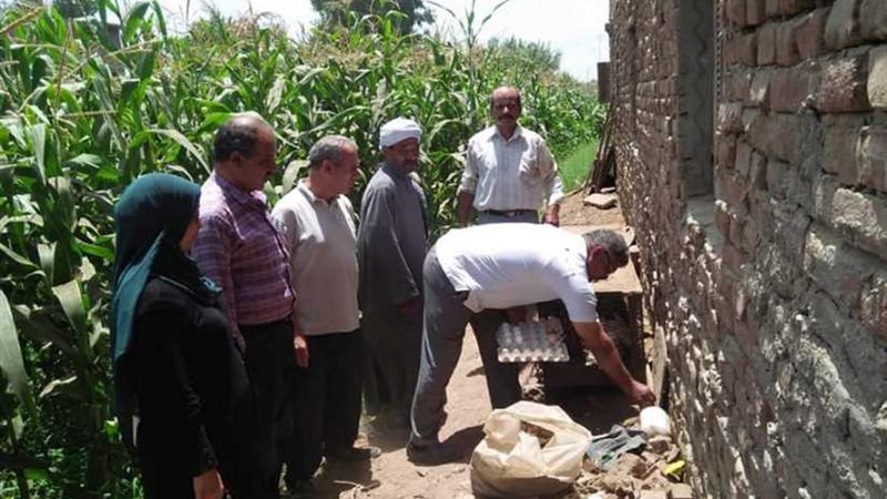 المنوفية تواجه الثعابين