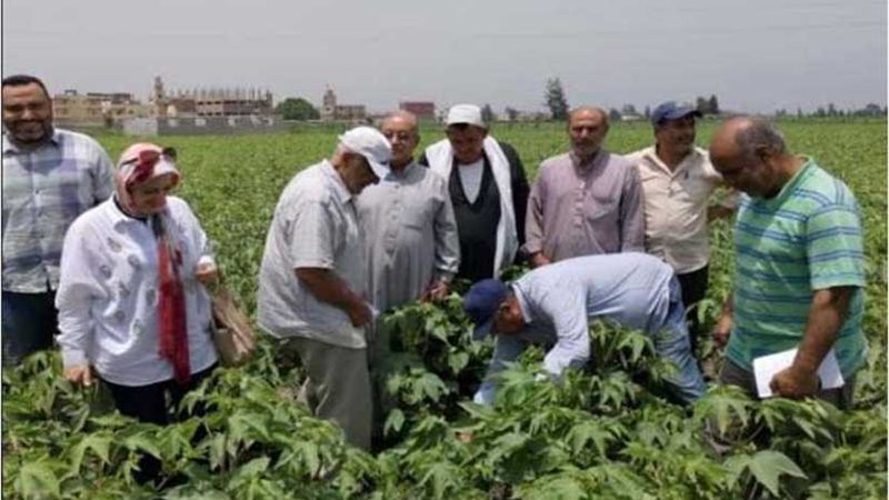 ندوات إرشادية للمزارعين