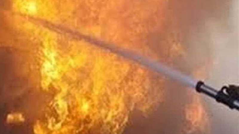 الحرارة تحرق عشش