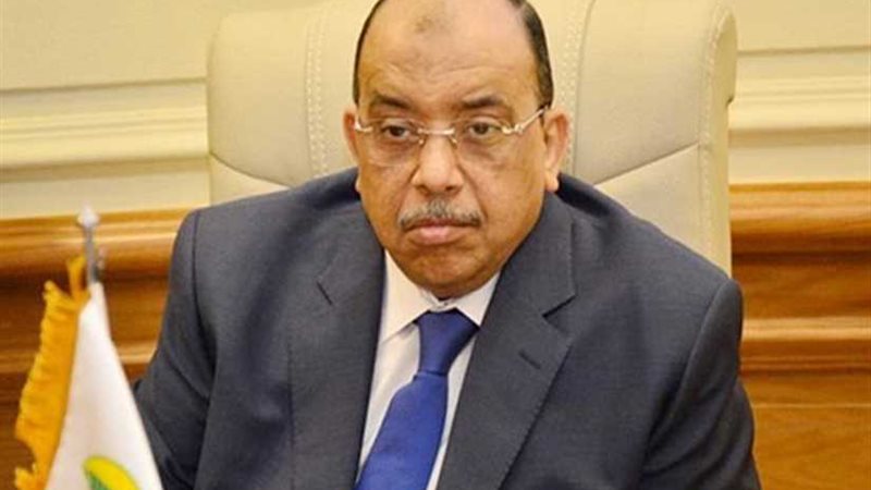 التنمية المحلية: