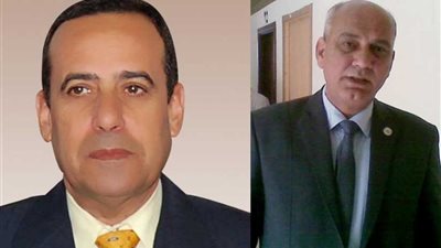 تنفيذ 164 مشروعا بمشروعك فى شمال سيناء قيمتها نحو 6.8 ملايين جنيها