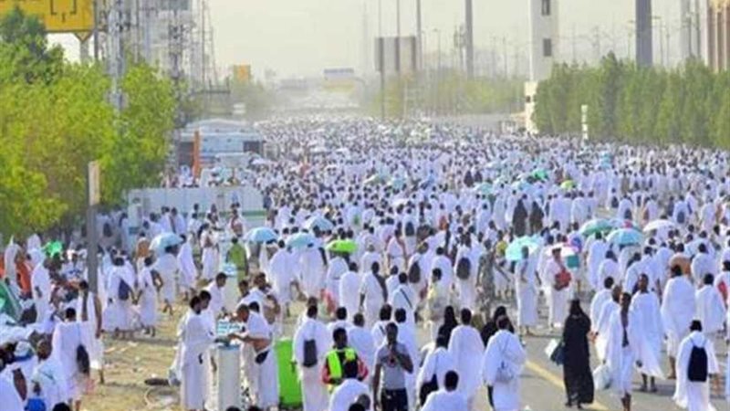 التضامن تتابع الترتيبات