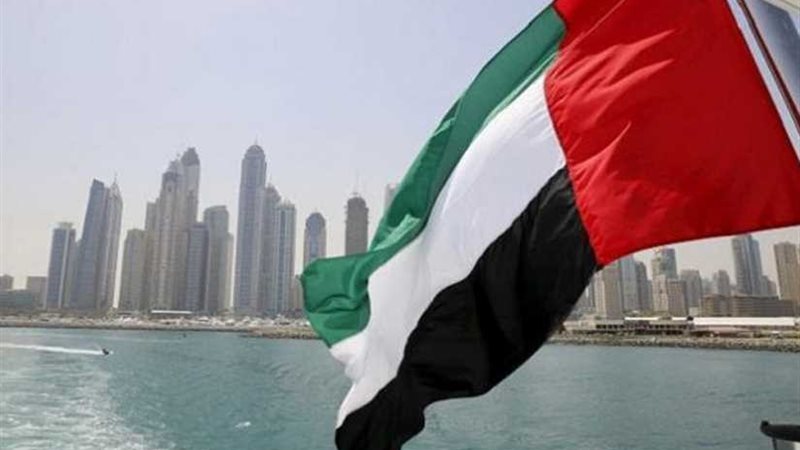 نخيل الإمارات على