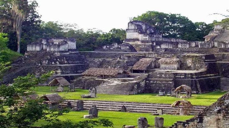 يقتلعون القلوب ويسلخون