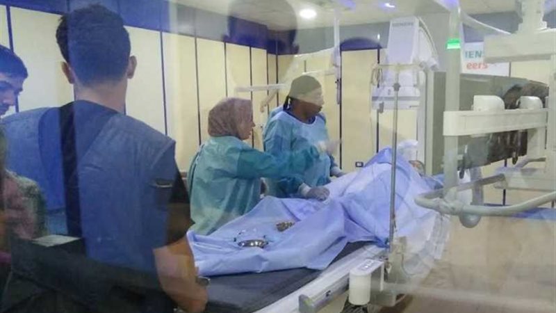 صحة الشرقية: تركيب