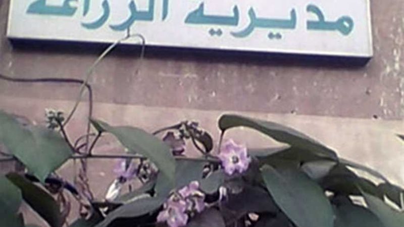 «الزراعة» تحرر 779