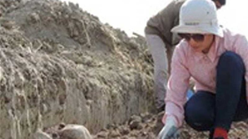 اكتشاف 38 مقبرة عمرها