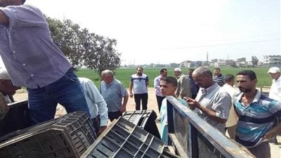 إزالة 1467تعديًا وإشغال طريق بدمنهور 