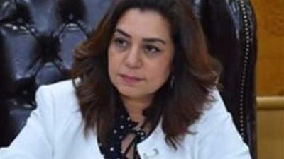 محافظ دمياط تتفقد منافذ بيع السلع واللحوم بأسعار مخفضة للمواطنين