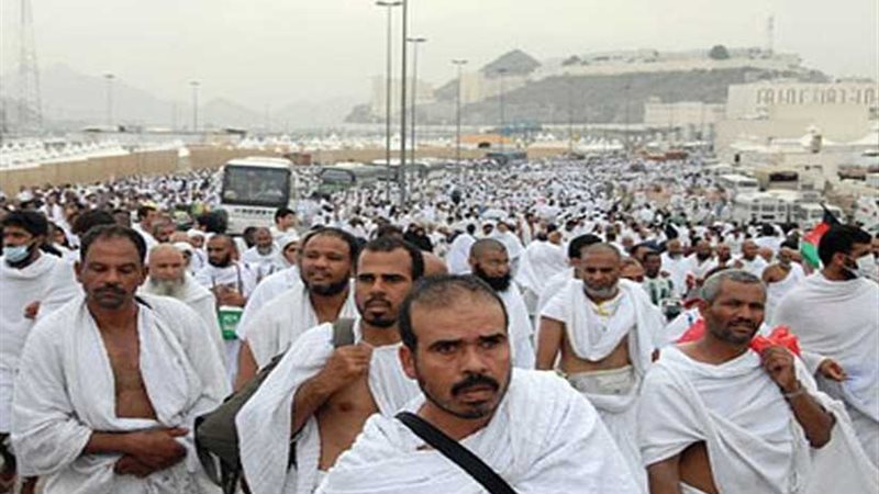 مصر للطيران تنقل