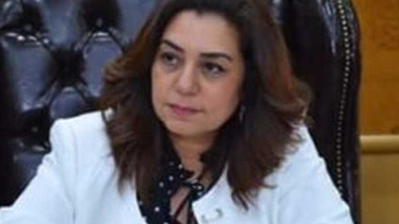 محافظ دمياط تتفقد