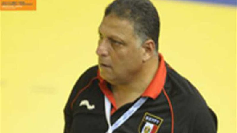 عضو اتحاد اليد: انسجام