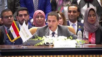 ممثل رئيس الوزراء يستعرض تقييم الدولة المصرية منذ عام ٢٠١٤