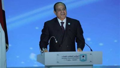 في ثاني جلسات محاكاة الدولة المصرية: دعم إجراءات الحماية الاجتماعية وجهود ناجحة لمواجهة الإرهاب