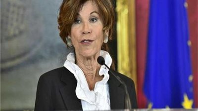 2.5 مليون يورو .. مساعدات إنسانية نمساوية لسوريا ومالي