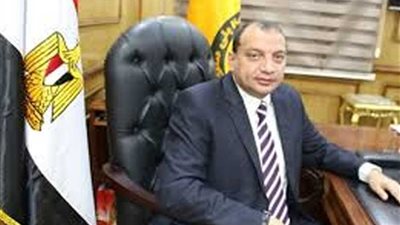 ألفت عبد الرحمن عميدا للعلاج الطبيعي ببني سويف