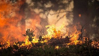 حرائق غابات روسيا تغطي مساحة 30 ألف كيلومتر