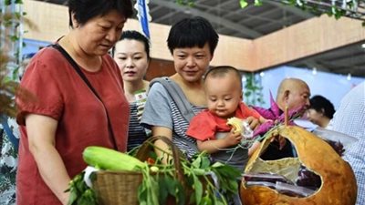 معرض زراعي صيني عربي