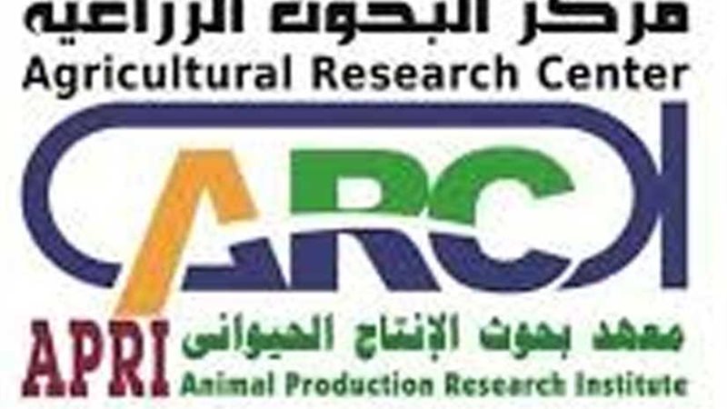 غدًا.. انعقاد ورشة