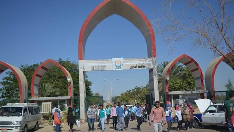جامعة أسوان: بدء