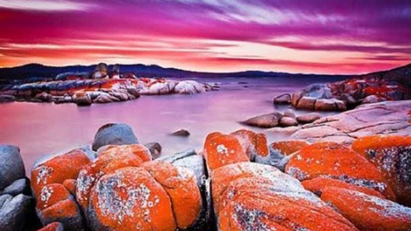 مسافر في الخيال..