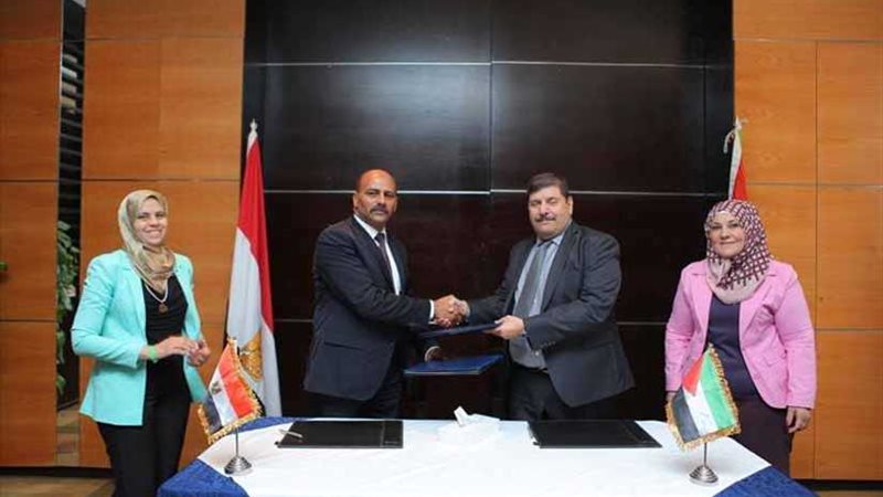 اللجنة الفنية المصرية