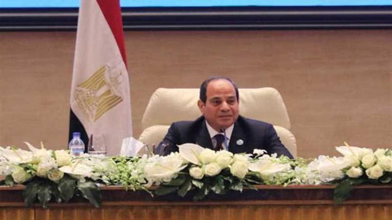 السيسي: قواعد البيانات