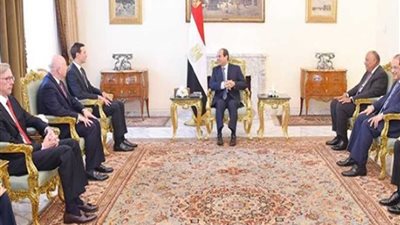 الرئيس السيسي لـ 